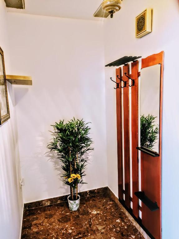 Apartmani Mila A1 & A2 & 3 Trogir Exterior foto